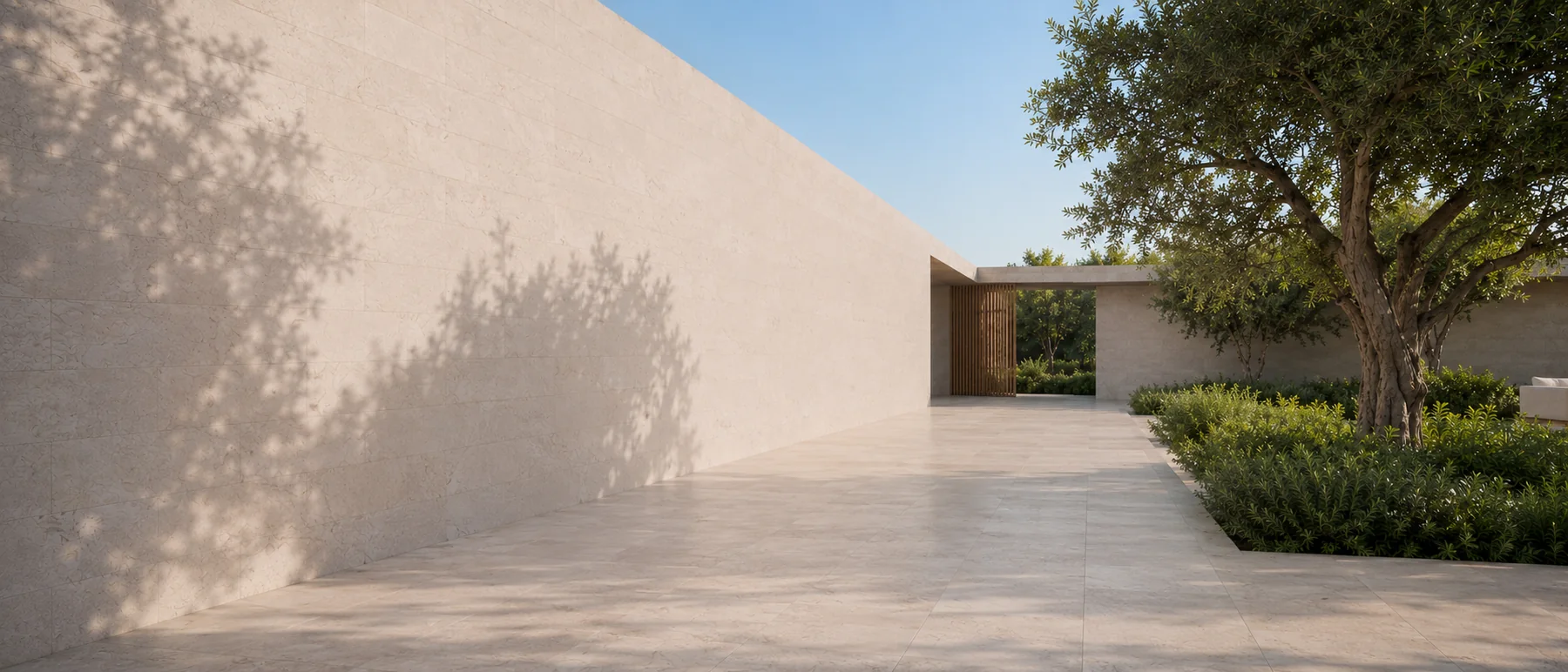 Weite TERRANE Architektur mit Olivenbaum und großzügigem Freiraum