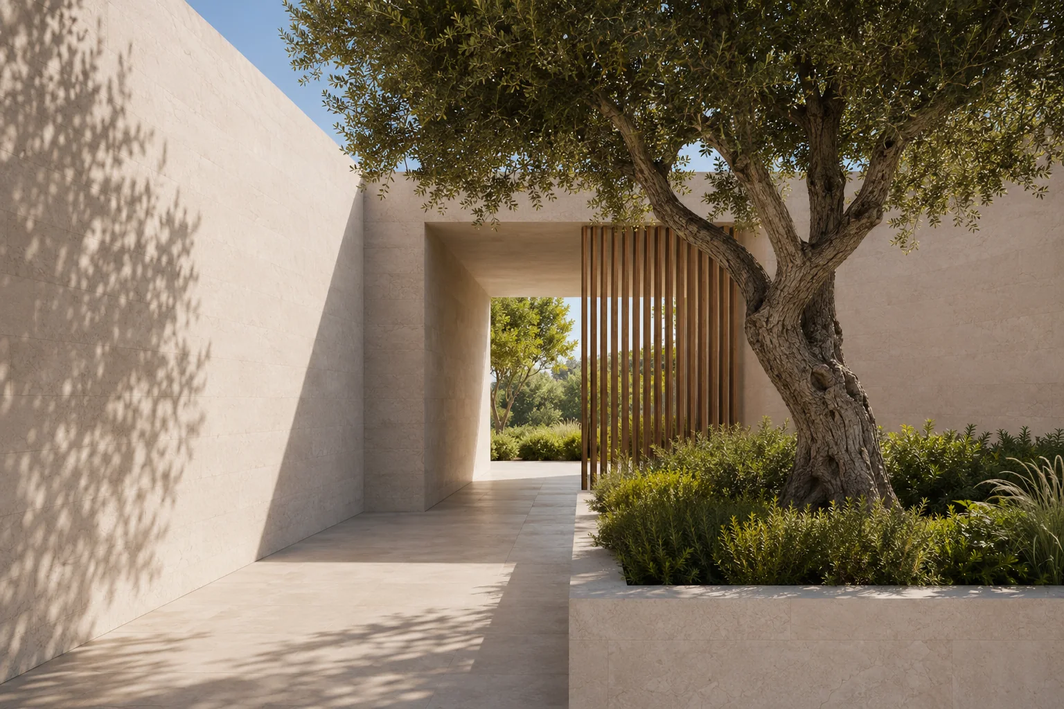 Architektonischer Durchgang mit Olivenbaum